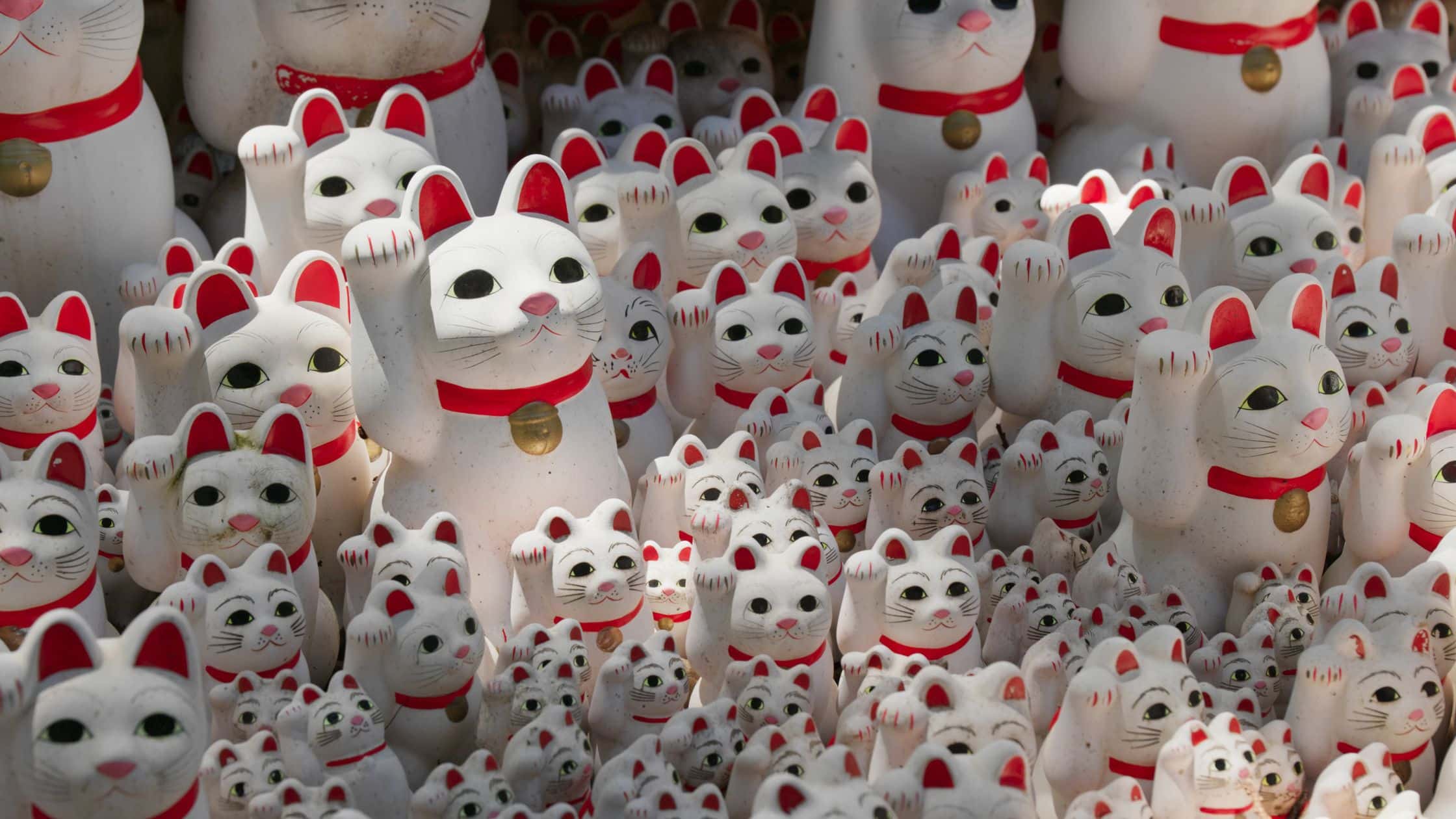 Vibrant collection of Maneki-neko figurines brings good luck and fortune in Japanese culture.