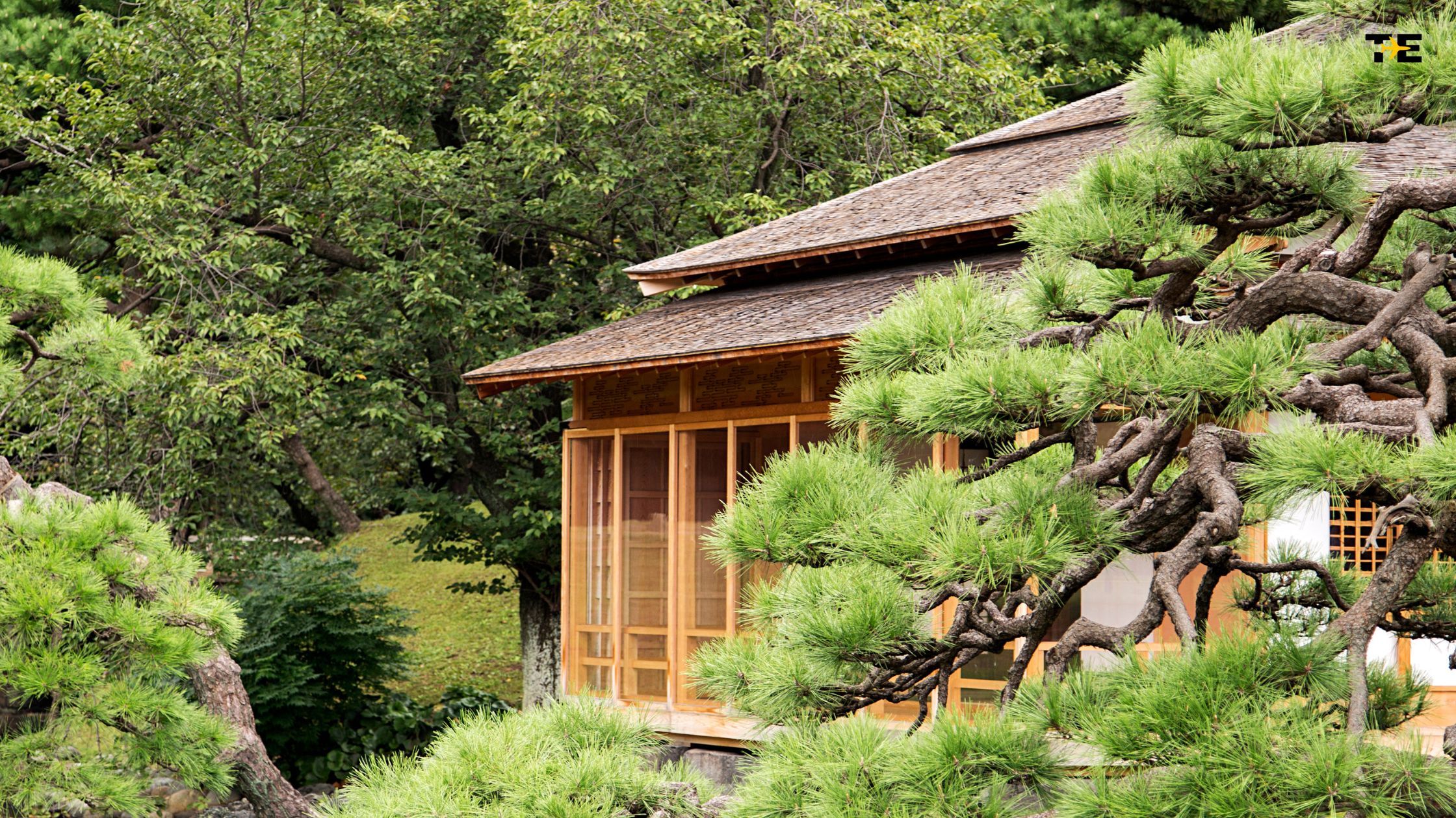 Traditional wooden house surrounded by lush greenery and serene natural landscape.