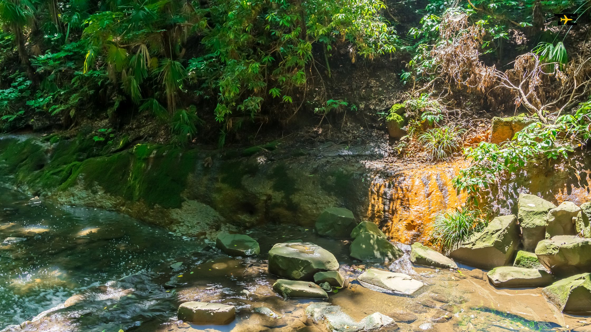 Lush rainforest scene with a tranquil stream, vibrant greenery, and a cascading waterfall.