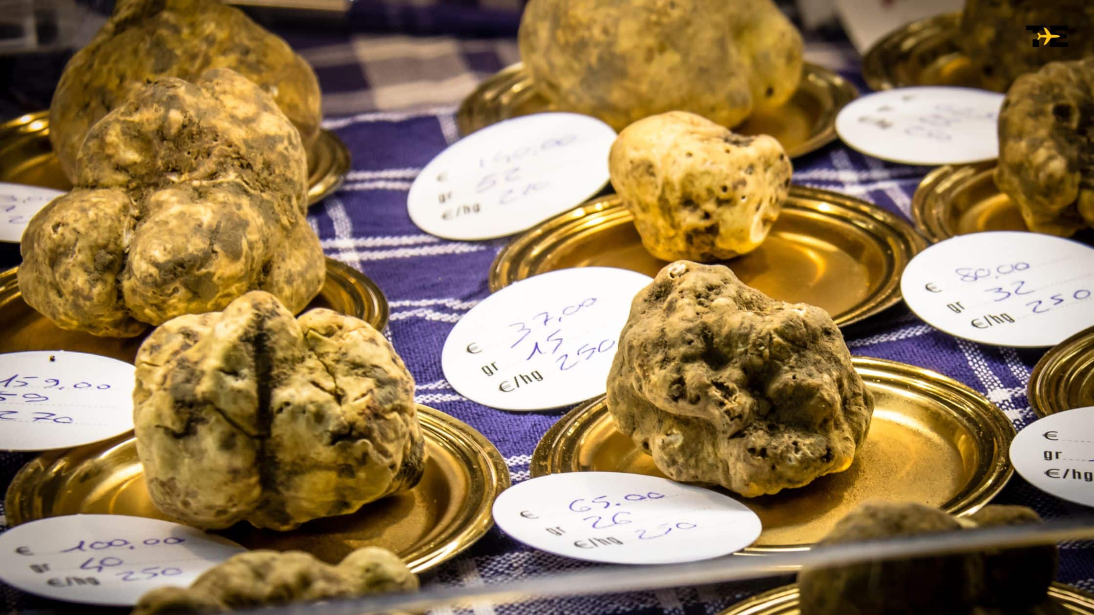 Luxurious truffles displayed on golden plates, showcasing gourmet delicacy and artisanal charm.